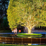 Außenstrahler für Baum