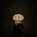 DIY Seeigel-Nachtlicht