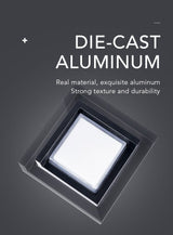 Boxer Außenwandleuchte (Bewegungssensor)