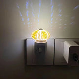 DIY Seeigel-Nachtlicht