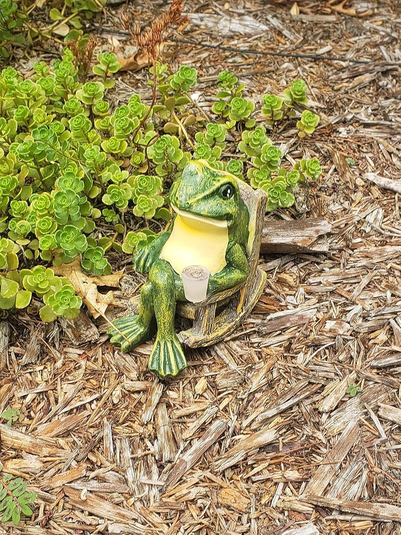 Glühender Gartenfrosch