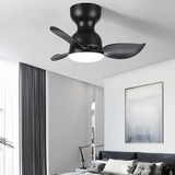 Trailblazer 18" Deckenventilator Licht